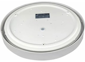 LED Mennyezeti lámpa SAMER LED/24W/230V 4000K