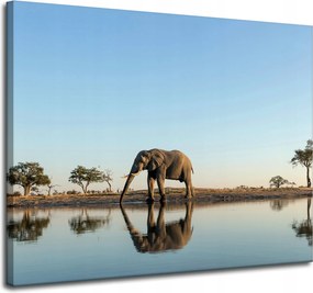 Vászonkép Elefánt iszik vizet természetes környezetben 100x80 cm