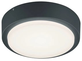 LED fali kültéri lámpa ø 20 cm Berg – Trio