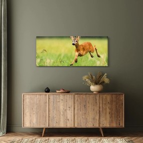 Kép - Őz (120x50 cm)