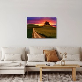 Mezei naplemente képe (üvegen) (70x50 cm)