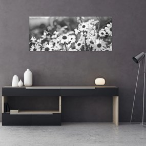 Kép - Százszorszépek (120x50 cm)