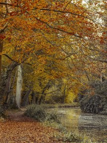 Poszter 60x80cm ĂsvĂ©ny a csatornĂĄnĂĄl, Assaf Frank