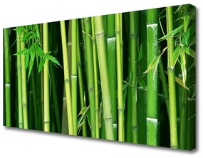 Vászonkép nyomtatás Bamboo Bamboo Forest Nature 100x50 cm