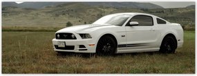 Fotótapéta flizelina 250x93 fehér Ford Mustang