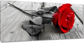 Vászonkép 150x70 Rózsa a hídon