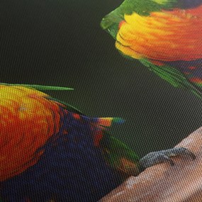 Papagájok képe (70x50 cm)