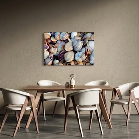 Kagyló képe (90x60 cm)