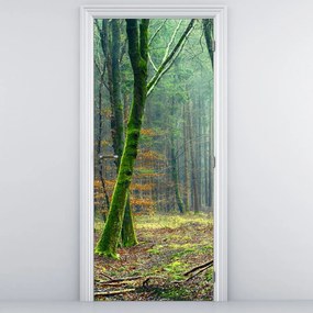 Fotótapéta ajtóra - Erdő (95x205cm)