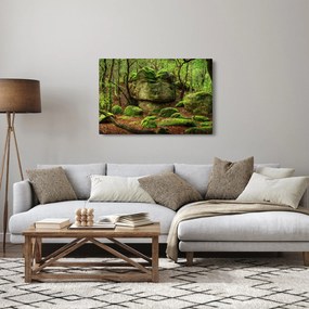 Egy varázslatos erdő képe (90x60 cm)