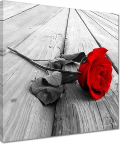 Vászonkép 40x40 Vörös rózsa a deszkákon