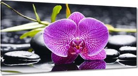 Vászonkép 115x55 Lila orchidea