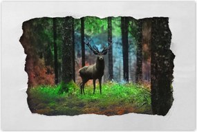 Poszterek 60x40 Szarvas a mesés erdőben