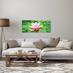 A tavirózsa képe a felszínen (120x50 cm)