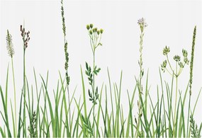 Flizelin fotótapéta Flizelin Design Finom növényvilág 152x104