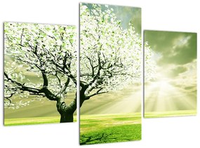 Tavaszi fa - modern kép (90x60cm)