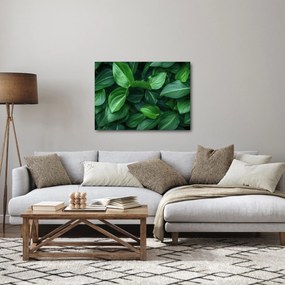 Kép - Zöld levelek (70x50 cm)