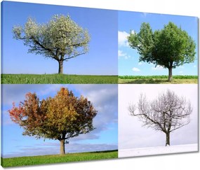 Vászonkép 80x60 Négy évszak Fa
