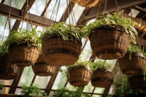 Poszter 45x30cm PrivĂĄt FĂŒggĆ Kertek