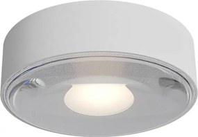 REDO 90411 LOG Modern Kültéri Mennyezeti Lámpa LED IP65