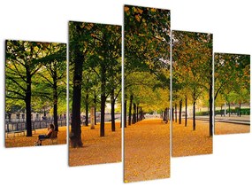 Egy kép az őszi fák sikátorából (150x105 cm)