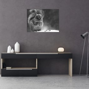 Kép - Mókus télen (70x50 cm)