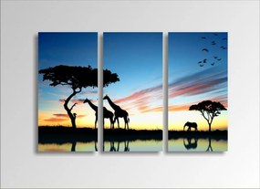 Digital Art vászonkép | 1229-S African Sunset THREE