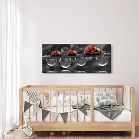 Kép - Napraforgó, fekete-fehér (120x50 cm)
