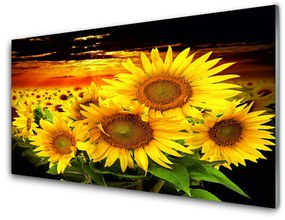 Fali üvegkép Napraforgó virág növény 100x50 cm