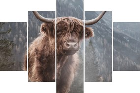 Kép - Highlander tehén (150x105 cm)