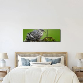 Kép - Légykapó (órával) (90x30 cm)