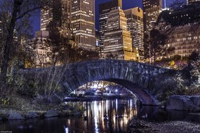 Poszter 30x20cm Esti kilátás a New York-i Central Parkra, Assaf Frank