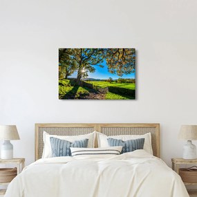Kép - mező, kilátás (90x60 cm)
