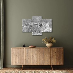 Kép - Róka, fekete, fehér (90x60 cm)