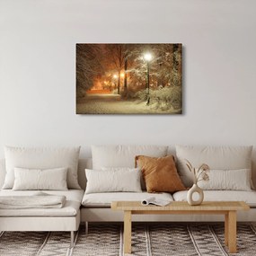 Kép - havas park (90x60 cm)