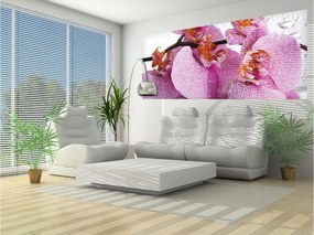 Orchideák harmatos elegancia fotótapéta otthonodba 250x104 +ragasztó