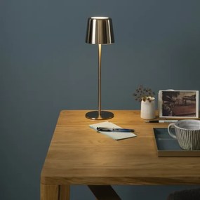 Brilliant XAANA LED/4W/5V IP44 érintős, állítható kültéri lámpa, arany