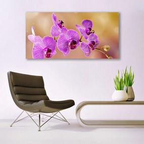 Vászonfotó Rügyek orchidea virágok Természet 140x70 cm