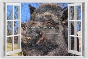 Poszterek 60x40 Kazik Idézet Politikusok