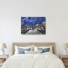 Kép - Kék fák, Central Park, New York (üvegen) (70x50 cm)