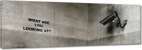 Képek 150x50 Banksy Kamera Graffiti