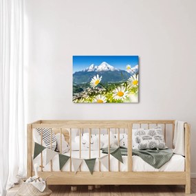 Kép - tavasz az Alpokban (70x50 cm)