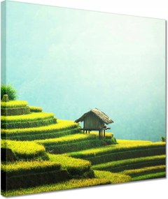 Vászonkép 30x30 Trópusi teraszok Zöld