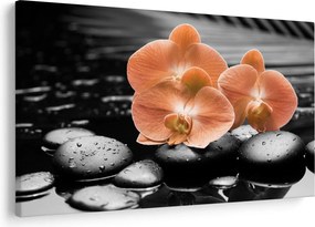 Kép - Narancssárga orchideák (90x60 cm)