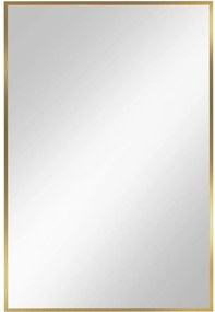 Baltica Design Tiny Border Straight tükör 60x90 cm négyszögletes arany 5904107904863