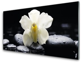 Üvegkép Virág orchidea növény 100x50 cm 4 fogas