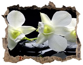 Lyuk 3d fali matrica Orchidea nd-k-28908662