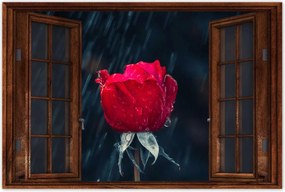 Poszterek 60x40 Rózsa Virág Virágok Rózsa