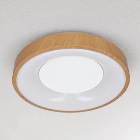 Brilagi - DORIA LED 48W stropní stmívatelné svítidlo 3000-6500K + DO