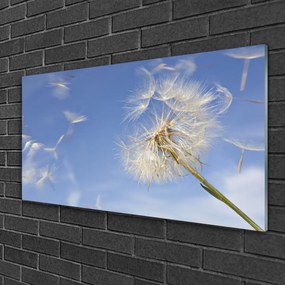 Akril üveg kép pitypang növény 100x50 cm